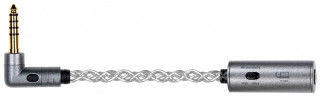 iFi Audio iEMatch4.4 hos Ljudmakarn.se