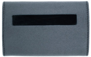 iFi Audio xDSD Gryphon Case hos Ljudmakarn.se