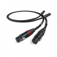 Chord Company SignatureX Tuned ARAY Analogue XLR hos Ljudmakarn.se