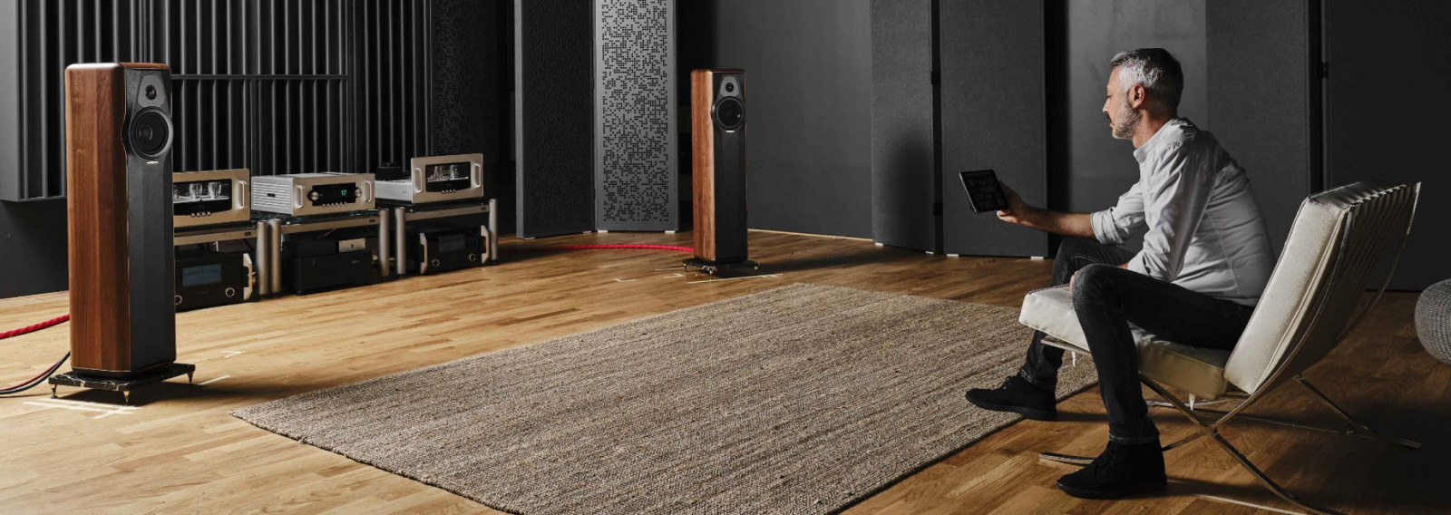 banner_sonus_faber_maxima_amator1.jpg