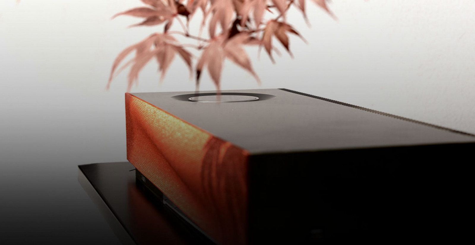 banner_naim_audio_mu_so_2.jpg